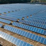 Solar Project - Neemuch, M.P.