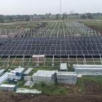 Project - Surendernagar, Gujarat